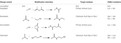 Modifying Surface Charges of a Thermophilic Laccase Toward Improving Activity and Stability in Ionic Liquid